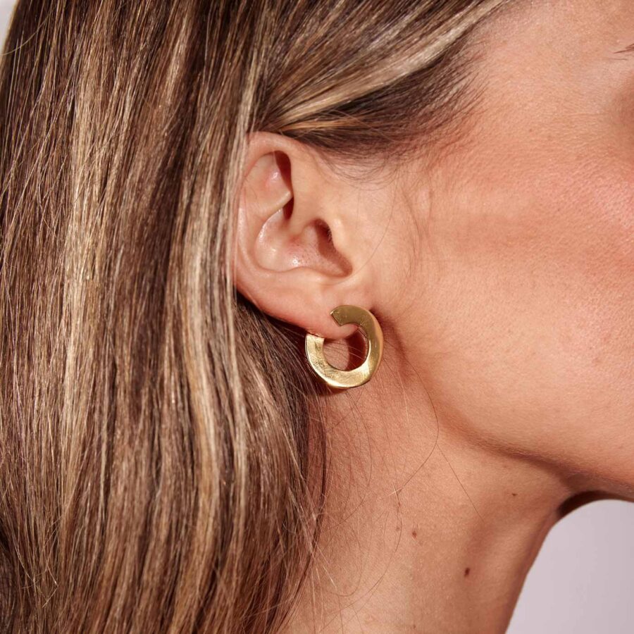 Terra Earrings