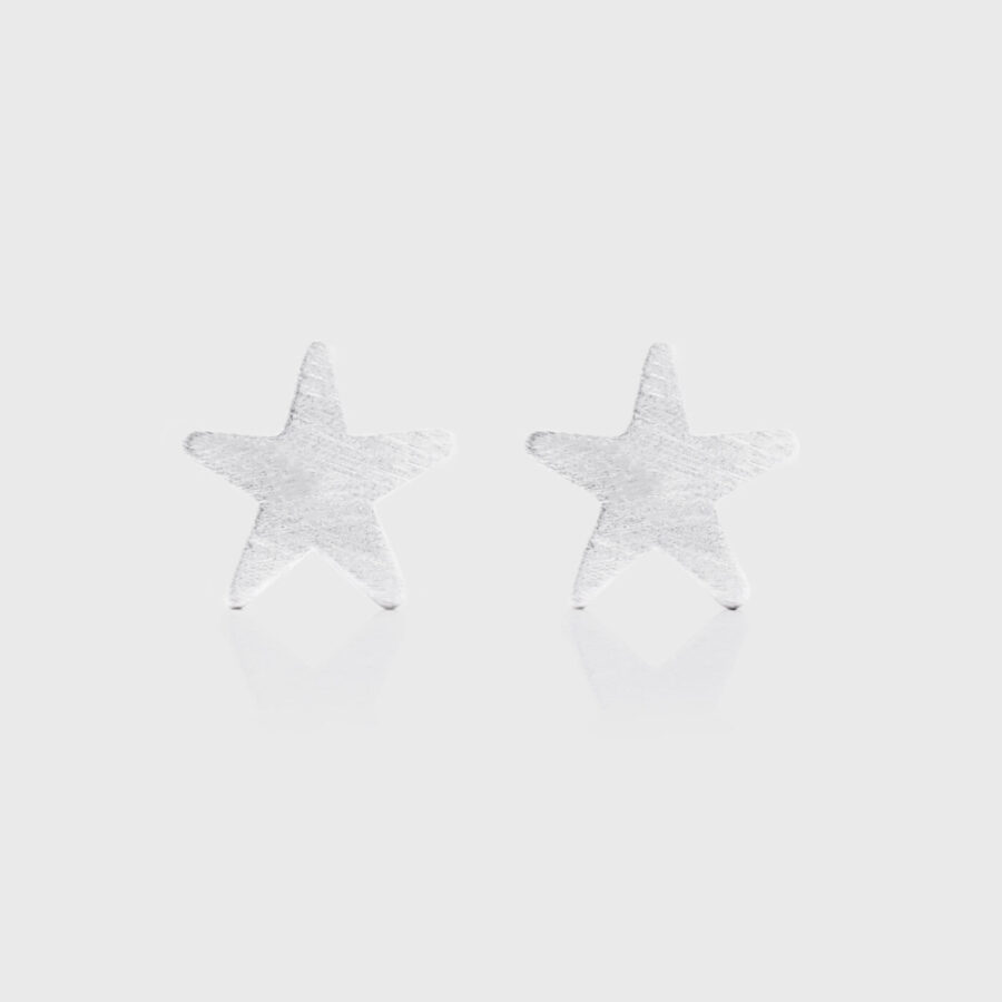 Star Earrings